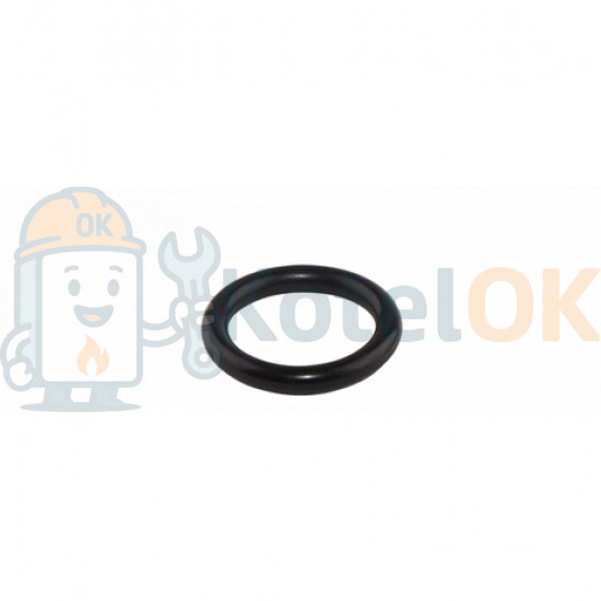 Купити Кільце ущільнювача теплообмінника ГВП SIME Format.Zip  6226414 – оригінальна запчастина для котла