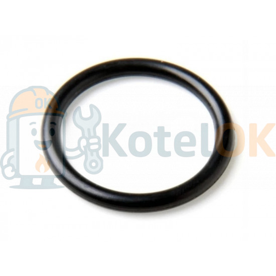 Купить Уплотнительное кольцо 18.3x3.6 (для входного насоса и корпуса F/S) Demrad (PK10) 3003200047, D003200047 запчасть для котла Купить Уплотнительное кольцо 18.3x3.6 (для входного насоса и корпуса F/S) Demrad (PK10) 3003200047, D003200047 – оригинальная запчасть для котла