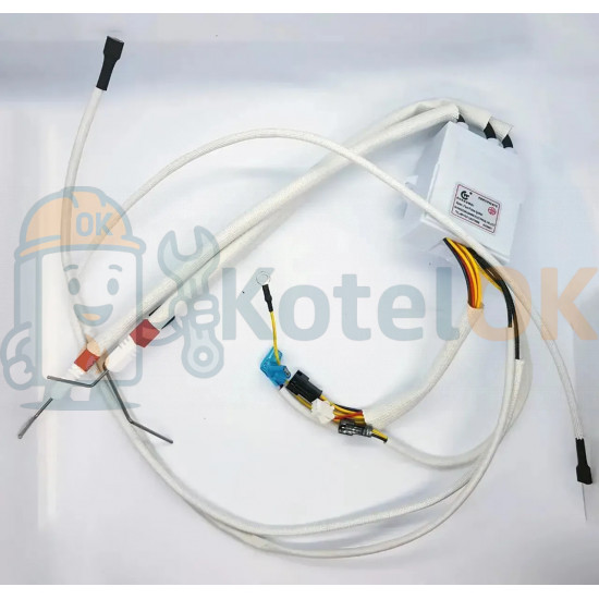 Купить Блок розжига колонки (с выносным дисплеем) Demrad Compact D004099754 запчасть для котла Купить Блок розжига колонки (с выносным дисплеем) Demrad Compact D004099754 – оригинальная запчасть для котла