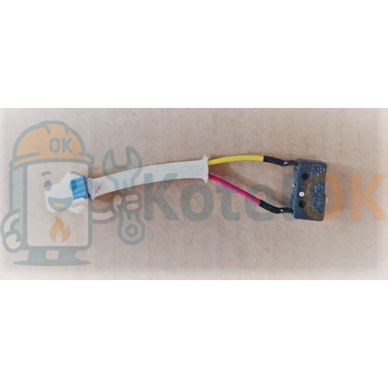 JSD20-10DH4 Микровыключатель (17451100000026) JSD20-10DH4 Микровыключатель (17451100000026)